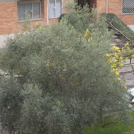 La Cubanina Bed & Breakfast