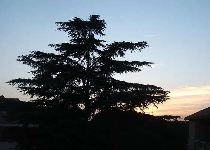 Bed & Breakfast La Cubanina