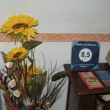 La Cubanina Bed & Breakfast *