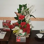 Frühstückspension La Cubanina Rom